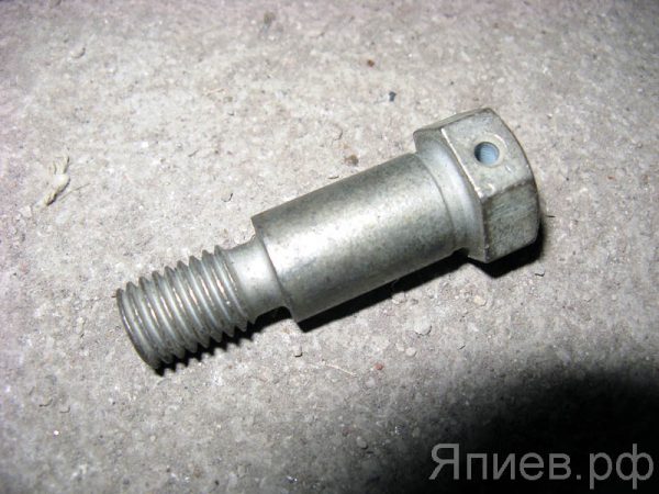 Болт тормозка сцепления Т-150 (СМД) 125.21.245